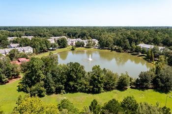 Waterfront Lake Views